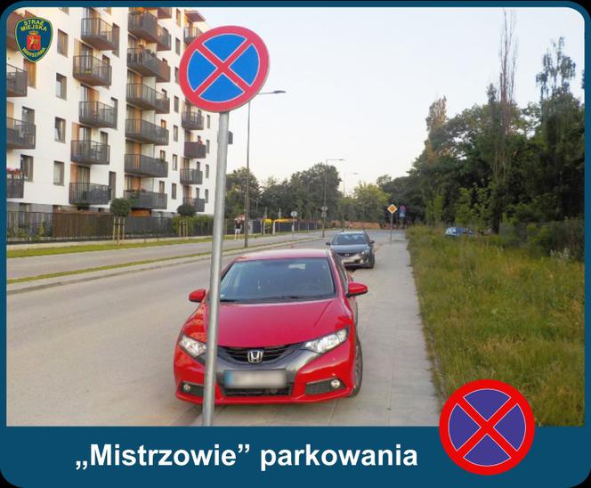 Warszawscy "mistrzowie parkowania"