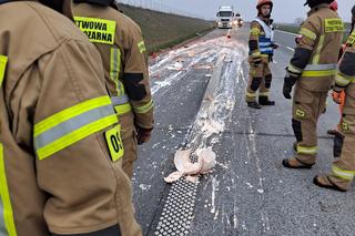 Siódemka jak wielki kebab. Rozrzucone mięso na S7 po wypadku chłodni