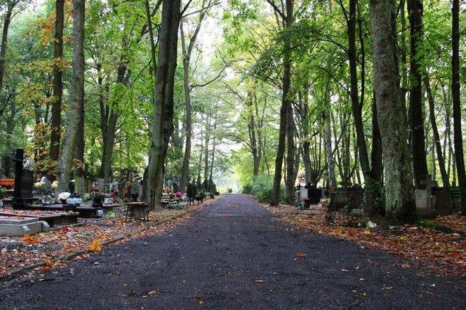 Przeraźliwe odkrycie w Szczecinie. Rozkopany grób i ludzkie szczątki zostawione na widoku