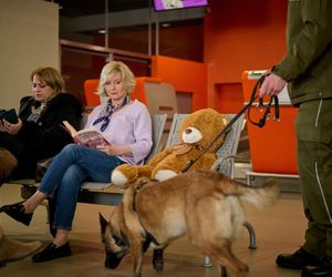 Na Wspólnej odc. 4043: Danka (Lucyna Malec)