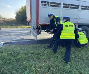 Rowerzystka wpadła pod ciężarówkę! Tragedia na DK 15 w Wielkopolsce