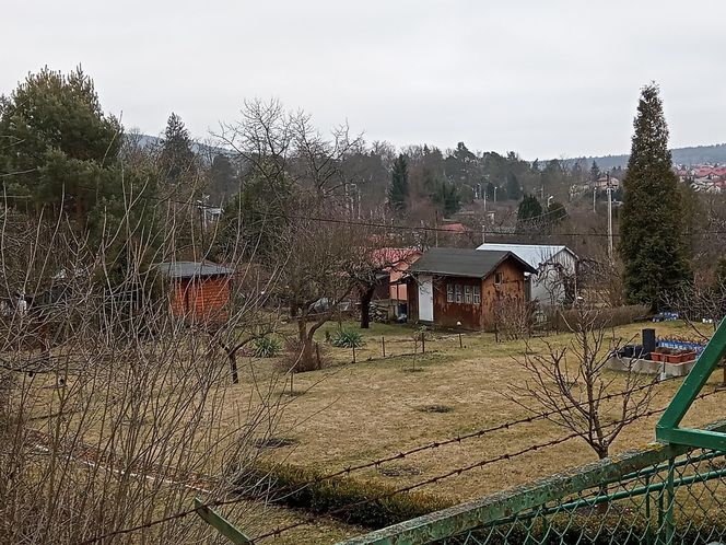 Rodzinny Ogród Działkowy "Kadzielnia" w Kielcach