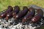 Kaszanka grillówka z cebulą – przepis na kaszankę z chrupiącą skórką prosto z rusztu!
