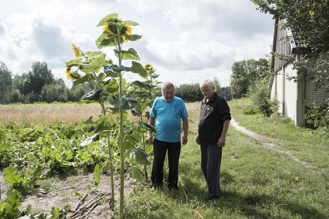 Rolnicy. Podlasie, odcinek 37. Sezon V