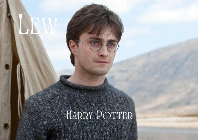 Którą postać z Harry'ego Pottera przypominasz według Twojego znaku zodiaku?