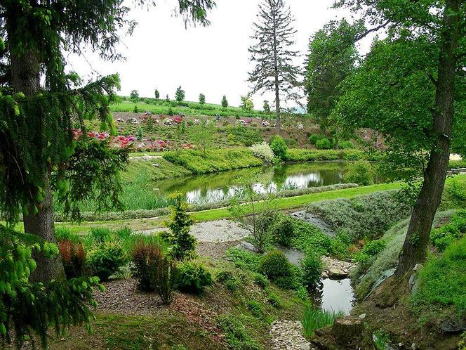 Arboretum Wojsławice - zdjęcia. Kiedy jechać?