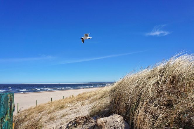Plaża w Świnoujściu