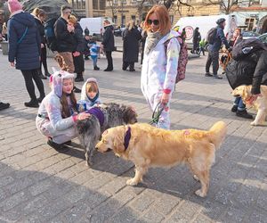 Wolontariusze na ulicach polskich miast