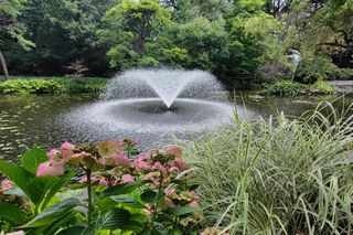 Wielka atrakcja w samym centrum Wrocławia. Otwarcie już pod koniec marca 