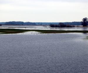 Przebudują most nad Narwią w Bronowie. To tutaj kręcono Konopielkę i Wołyń