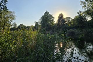 Bagry Ludwinowskie w Krakowie. Tu ma powstać Ptasi Raj