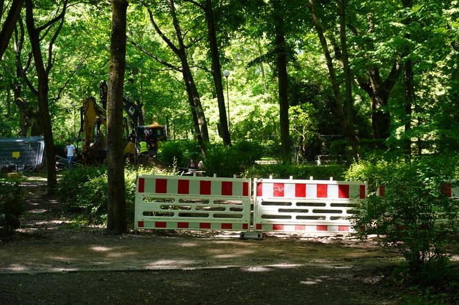 Rewitalizacja Parku Planty. Tak wyglądają majowe prace w centrum Białegostoku