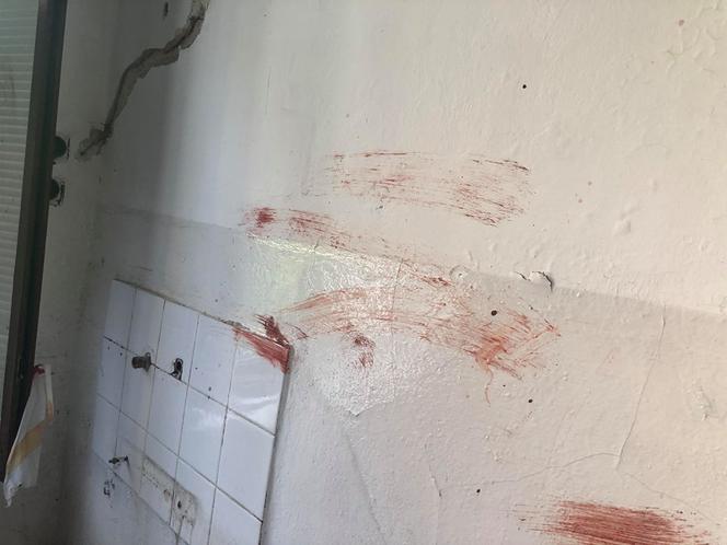 Scena jak z horroru w Sobótce! Martwy kot w wannie i mnóstwo krwi!