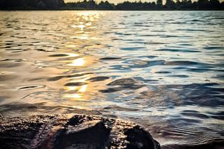 Wyjątkowe odkrycie w jeziorze pod Gnieznem. Znaleziono rzeźbę twarzy sprzed tysiąca lat