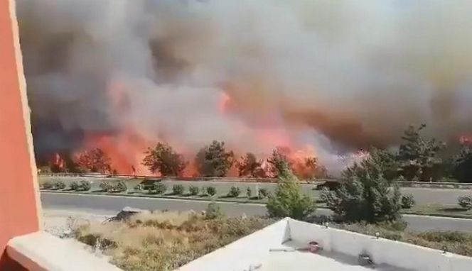 Fala upałów w Europie! "Centra chłodzenia" powstają w miastach