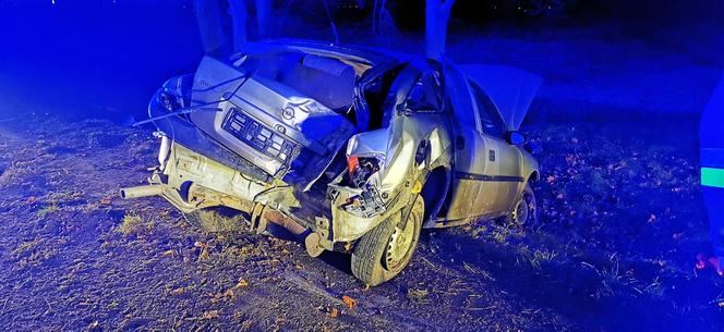 Wpadł w POŚLIZG i uderzył w drzewo! Poważny wypadek koło Gniezna