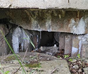 Odwiedziłam jeden z piękniejszych powiatów na Mazurach. To prawdziwy „szlak bunkrowy”
