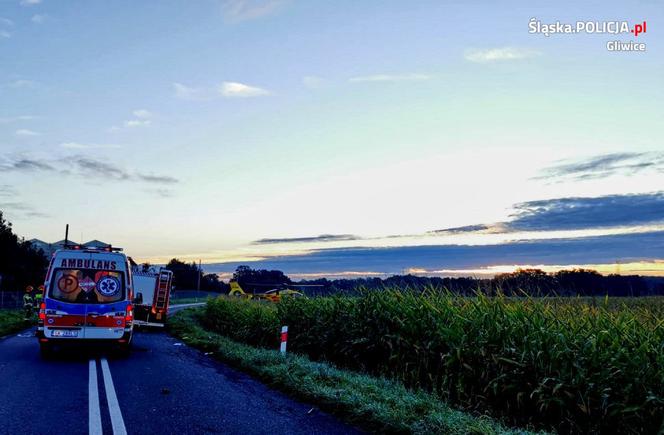 Śląskie: Śmiertelny wypadek rowerzysty. 33-latek zginął pod kołami osobówki 