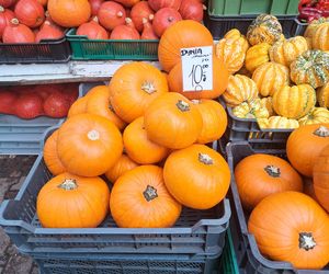 Ceny dyni w Krakowie 2025. Hokkaido i dynie ozdobne hitem na Nowym i Starym Kleparzu [GALERIA]