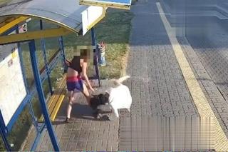 Pabianice. Skatowała kobietę na przystanku. Policja mówi, kim jest brutalna 26-latka [ZDJĘCIA].