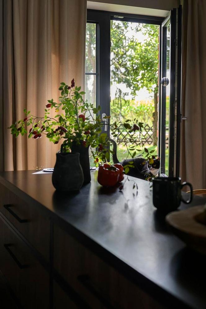 Metamorfoza siedliska na Mazurach