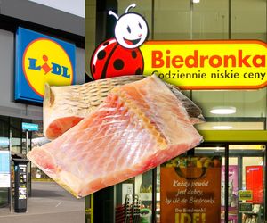 Świąteczne promocje na karpia. Lidl i Biedronka obniżają ceny