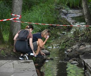 Obchody Święta Przemienienia Pańskiego na Grabarce 2025