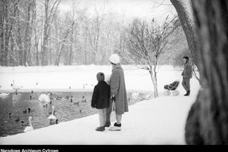 Łazienki Królewskie pod śniegiem.