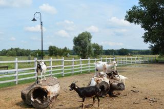 Ośrodek Edukacji Przyrodniczej w Umianowicach