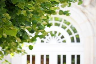 Lokalizacja lipy koło domu ma wiele korzyści