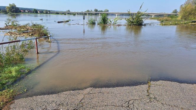 Monitorują i pakują worki z piaskiem. Powiat górowski przygląda się Odrze