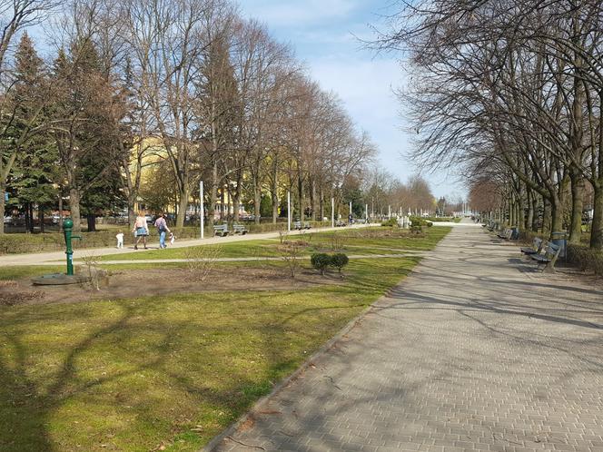 Żółte i niebieskie symbole wiosny w Lesznie
