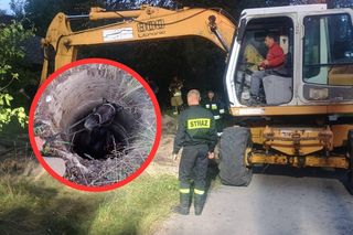 Koń wpadł do studni. Akcja ratunkowa trwała ponad osiem godzin! 