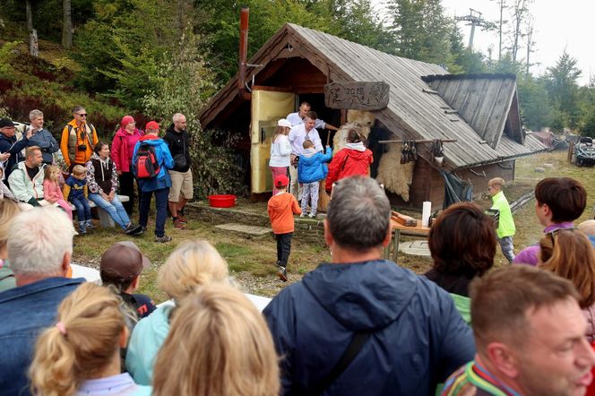 V Dzień Pasterski na Hali Skrzyczeńskiej w Szczyrku