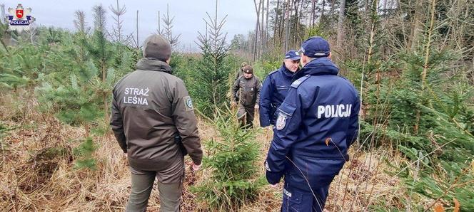 Policjanci wraz ze strażą leśną patrolują lasy w woj. lubelskim. Pilnują, by nikt nie ukradł choinek 