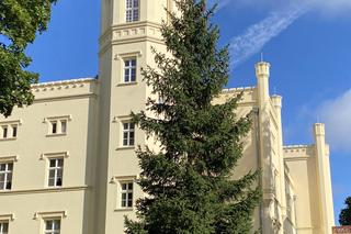 Pałac Mierzęcin w Lubuskiem - zdjęcia rezydencji