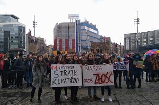 Setki młodych ludzi na ulicach Katowic! Protest klimatyczny na rynku [ZDJĘCIA]