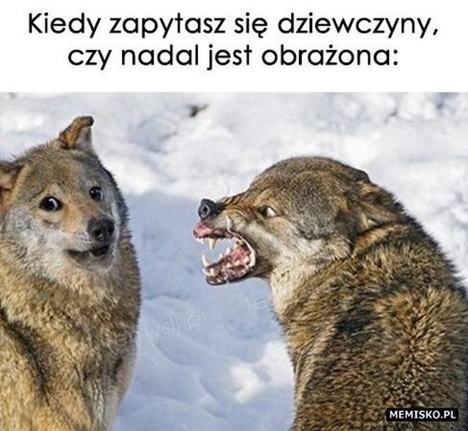 Memy o dziewczynach