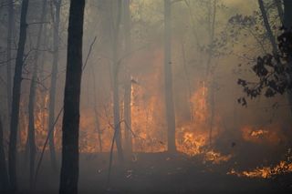 Pożary pustoszą Wschodnie Wybrzeże i Kalifornię. Jedna ofiara