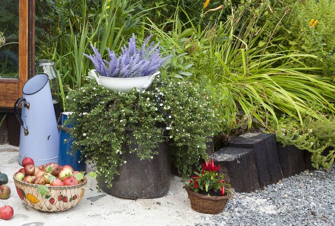 Jesienne dekoracje balkonu i tarasu