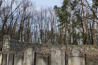 Prace archeologiczne na cmentarzu żydowskim na Bródnie (marzec 2025)