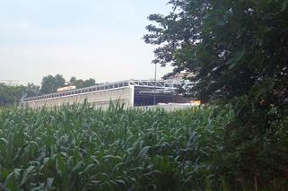 Lidl w Zabrzu-Biskupicach