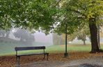 Zamojski Park jesienią