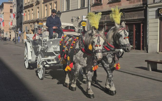To miasto w Małopolsce jest nazywane Barceloną Południa. Mało kto wie, że jest większe od hiszpańskiego hitu turystycznego
