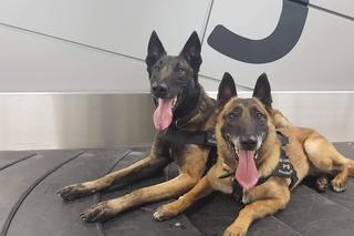 Senior wywołał alarm na lotnisku w Balicach. Będzie się tłumaczył prokuratorowi