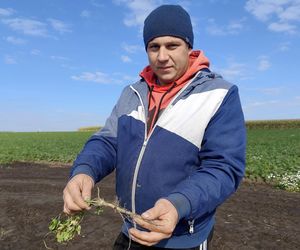 Rolnicy oszukani na nasionach