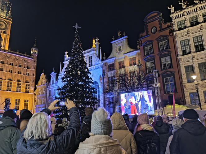 Gdańska choinka rozbłysła. Zobaczcie nasze zdjęcia!