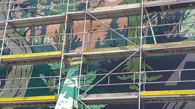 Mural "Sosnowy początek" w Sosnowcu