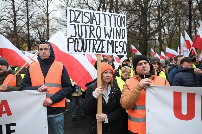 Protest plantatorów tytoniu w Warszawie (3.11.2025)