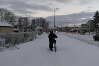 Zima w Białymstoku w 2019 roku